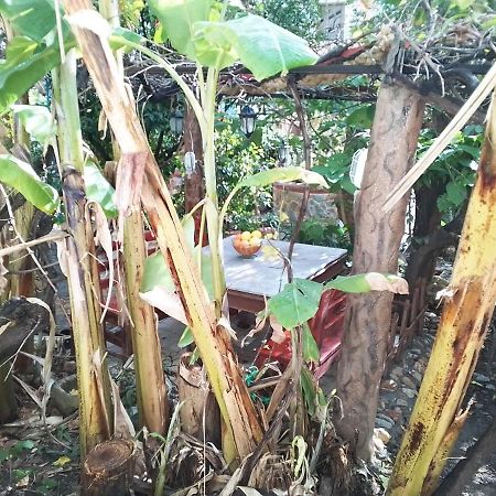 Maison De Reve Tabarka Ngoại thất bức ảnh
